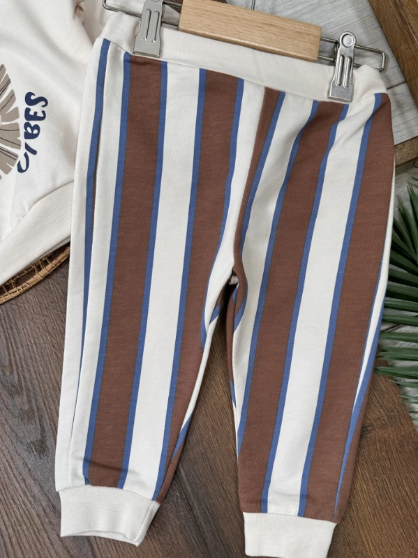 Aslan Baskılı  Çizgili Omuzdan Çıtçıtlı 2li Erkek Bebek Takım