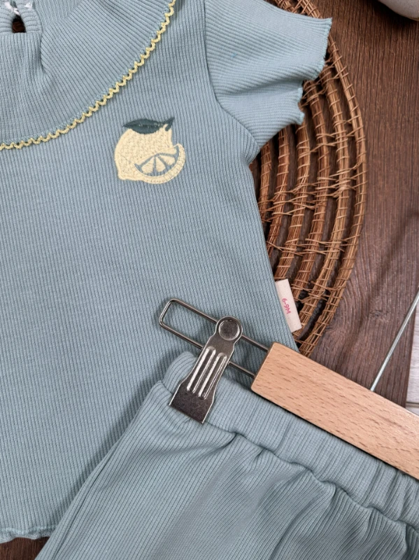 Meyveler Nakışlı Esnek Kaşkorse Yazlık Kız Bebek Takım - MÜRDÜM